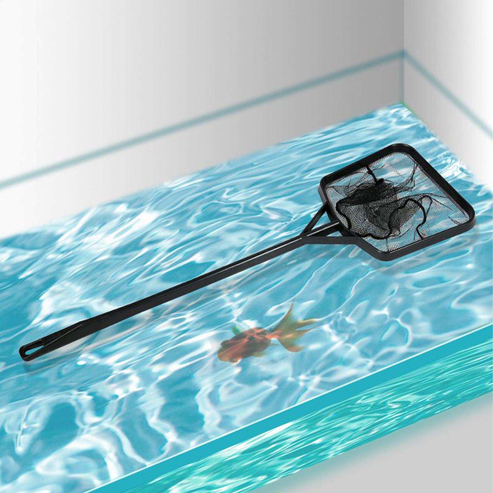 شبكة التقاط للأسماك في أحواض ا - مراجعة Pool Skimmer Net وسعره