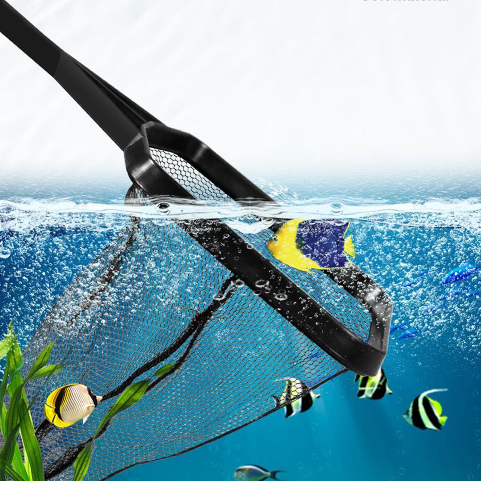 شبكة التقاط للأسماك في أحواض ا - مراجعة Pool Skimmer Net وسعره