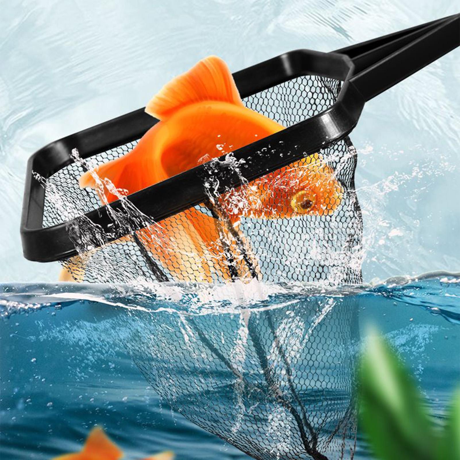 شبكة التقاط للأسماك في أحواض ا - مراجعة Pool Skimmer Net وسعره